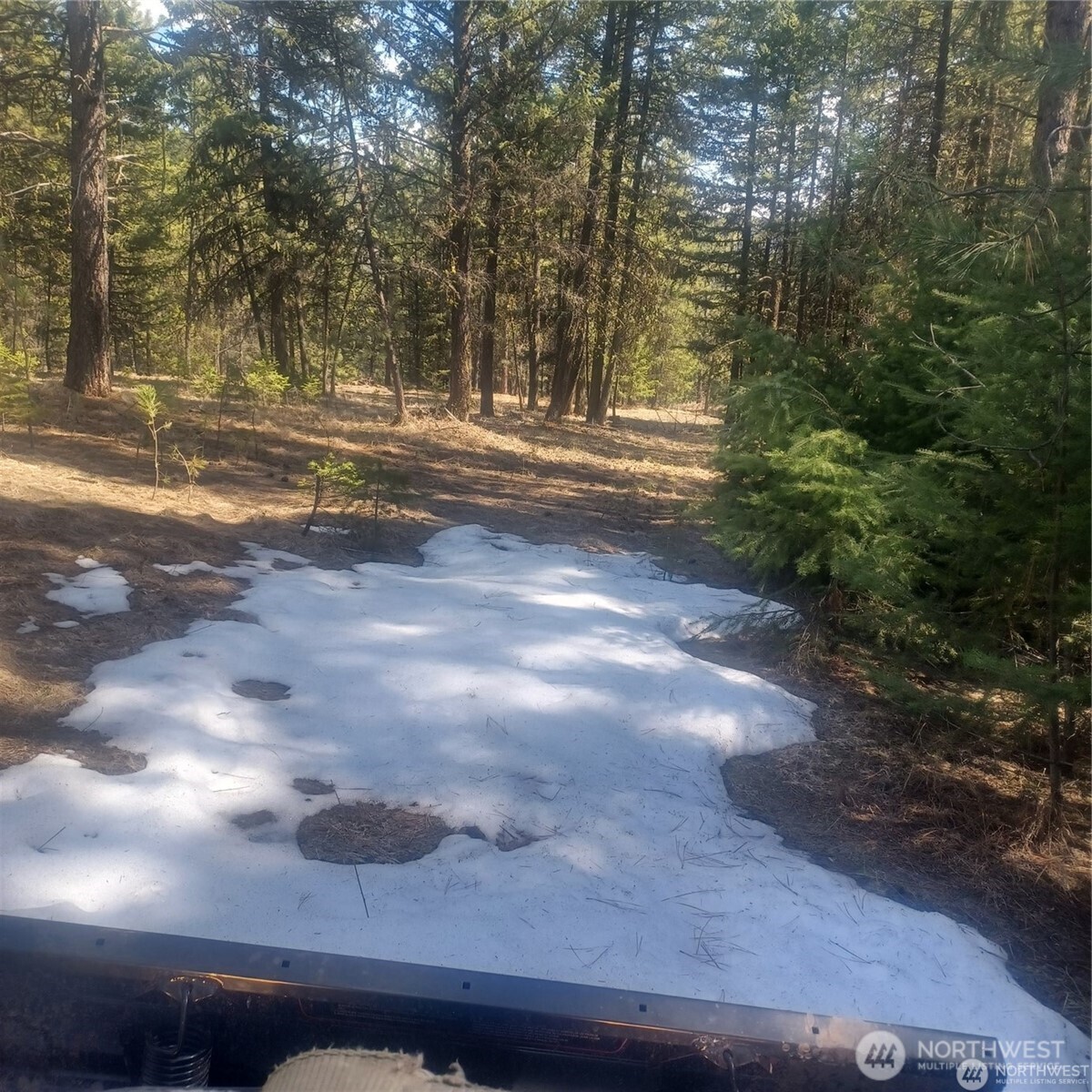 100 Turner Lake Road North Tonasket, WA 98855 - Photo 32 of 39 a view of outdoor space with trees