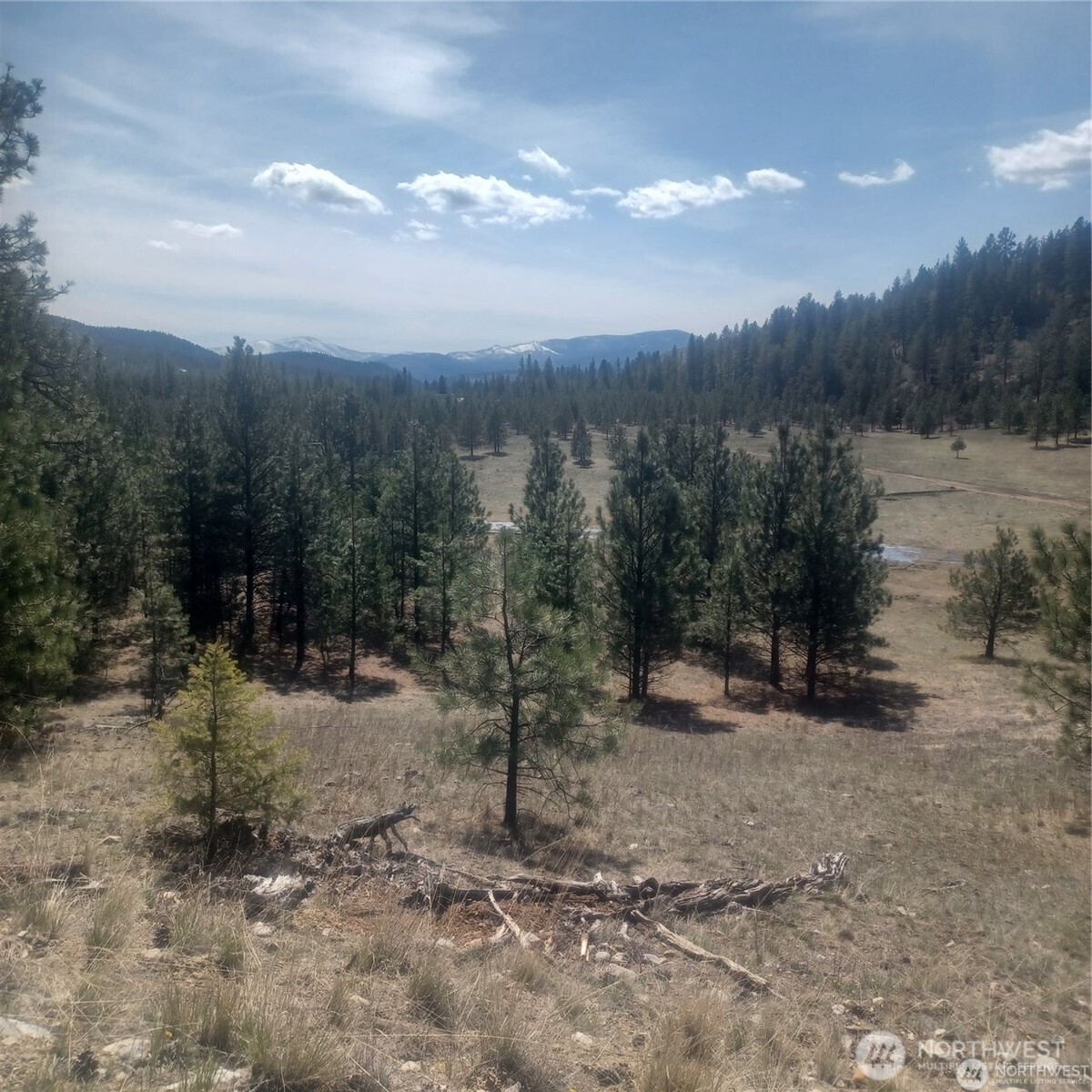 100 Turner Lake Road North Tonasket, WA 98855 - Photo 33 of 39 a view of a forest filled with trees