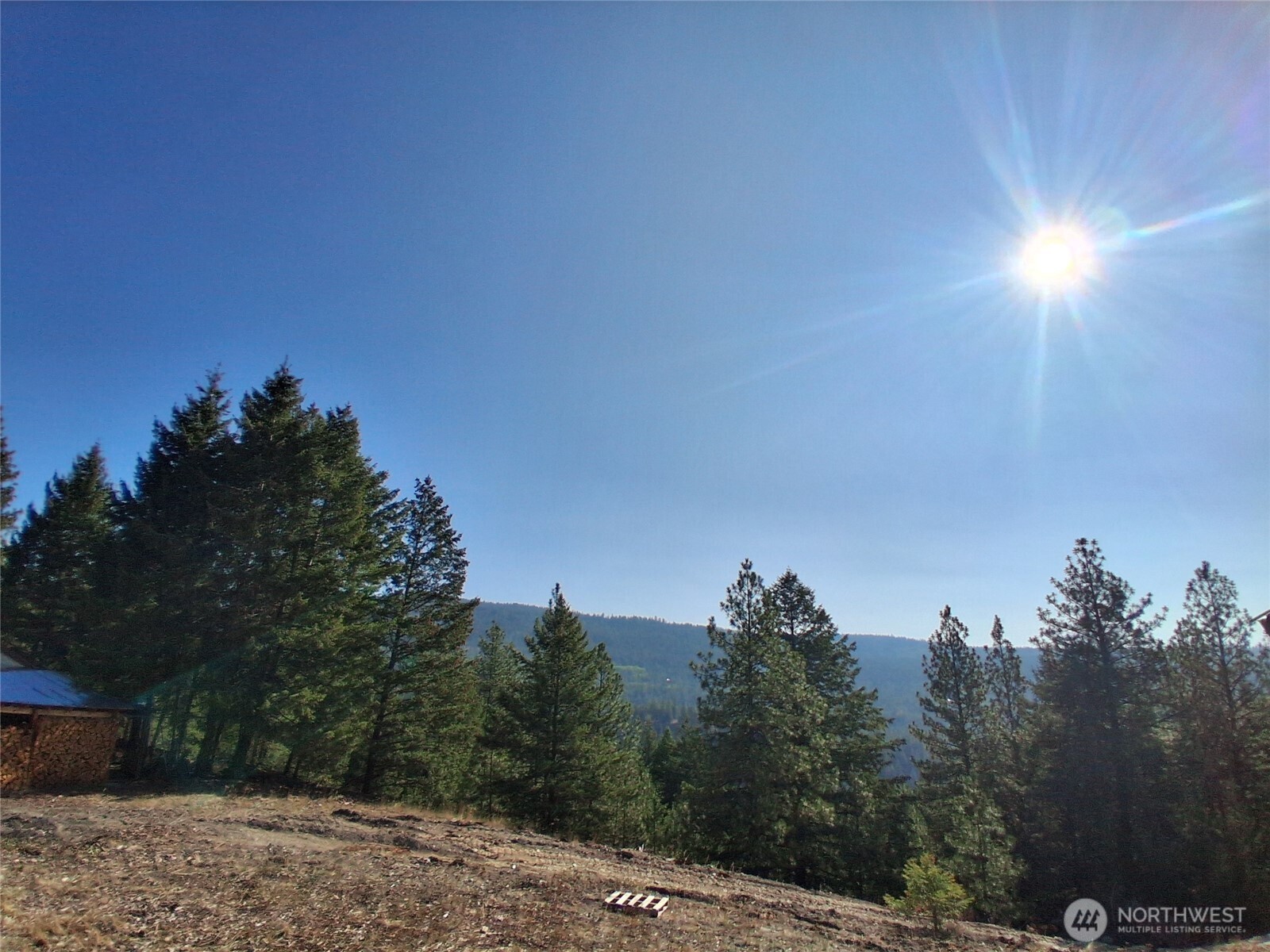100 Turner Lake Road North Tonasket, WA 98855 - Photo 34 of 39 a view of a yard