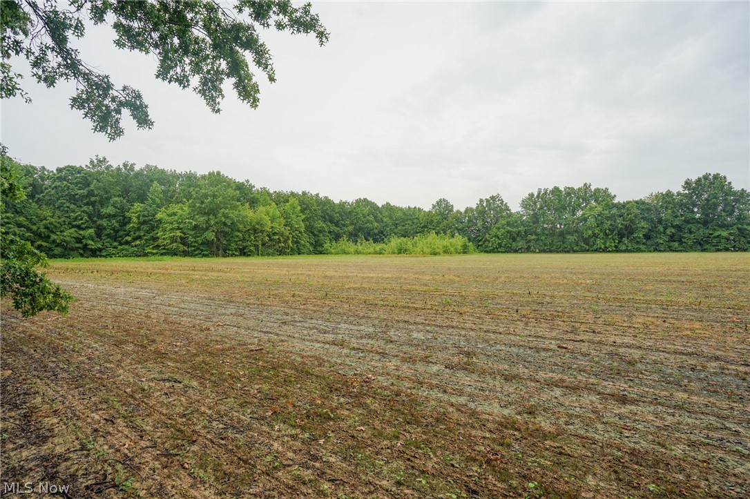 Duncanson Road Sardinia, OH 45171 - Photo 5 of 50 Gallery Image 5