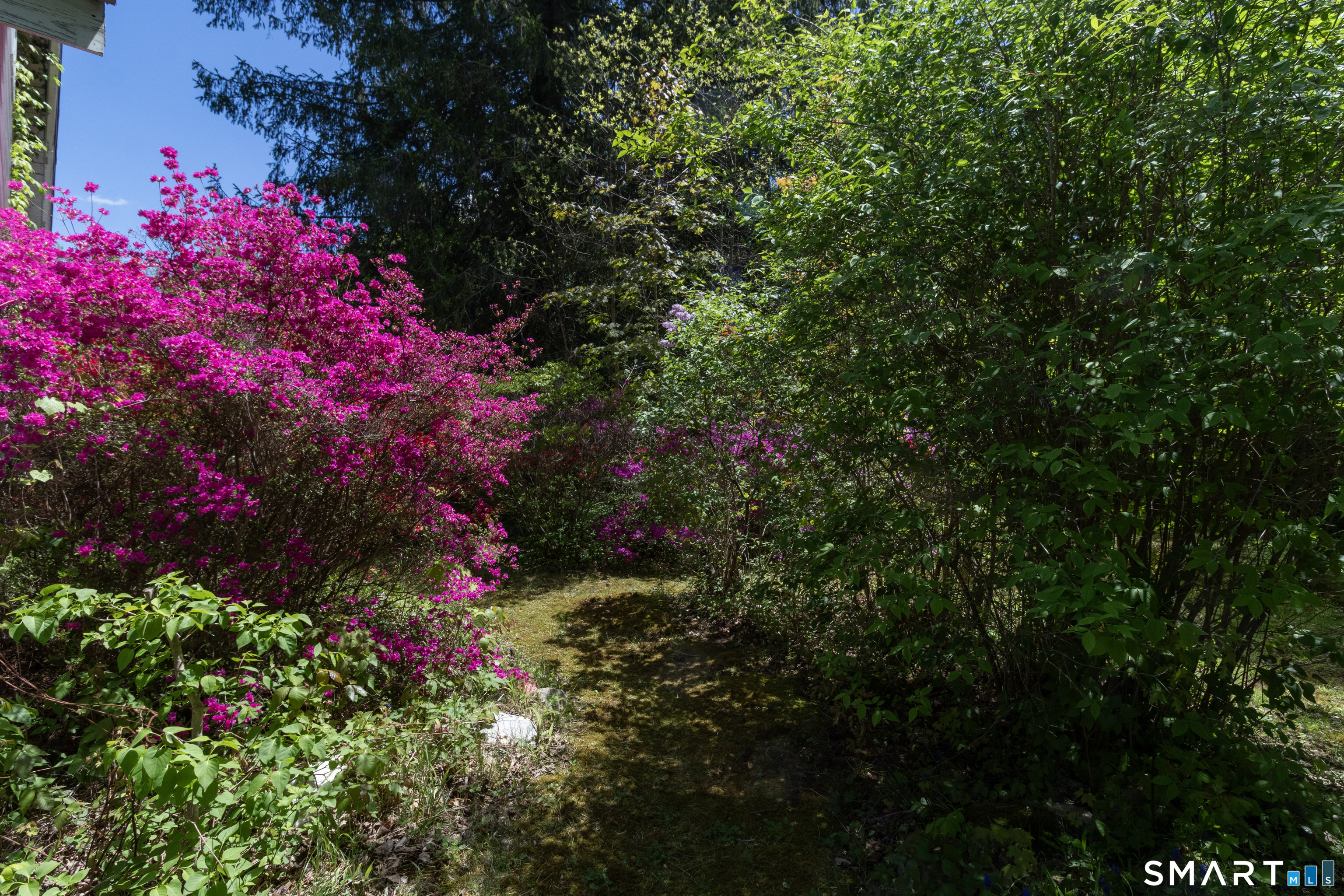 1973 Long Hill Road Guilford, CT 06437 - Photo 10 of 19 a view of a flower