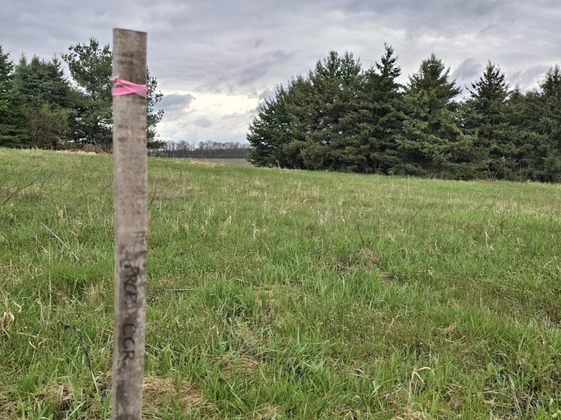 6336 Mast Road Dexter, MI 48130 - Photo 4 of 10 thumbnail_20240417_161611