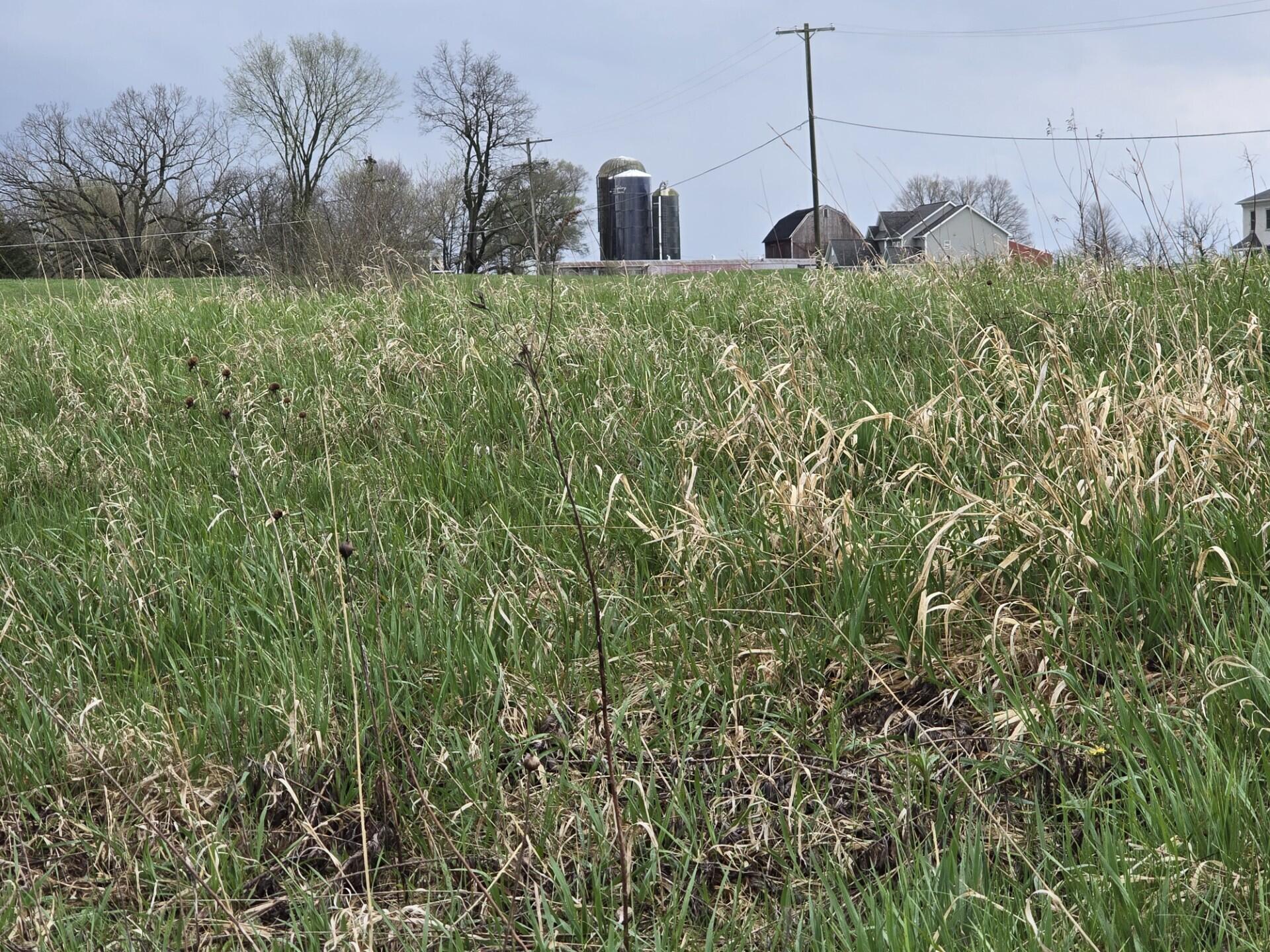 6336 Mast Road Dexter, MI 48130 - Photo 7 of 10 thumbnail_20240417_162737