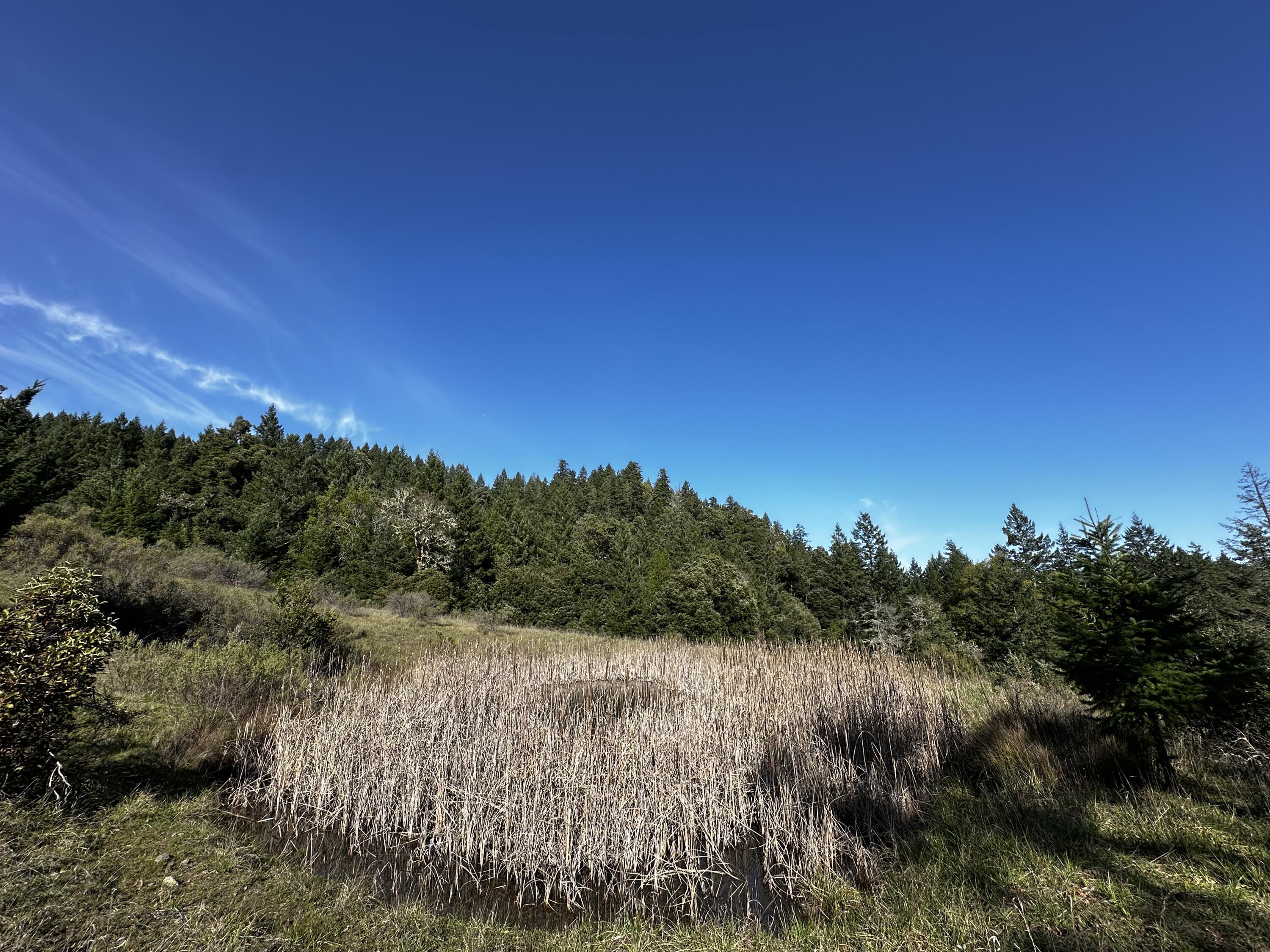 4300 Thomas Road Miranda, CA 95553 - Photo 59 of 59 a view of a lake with a city