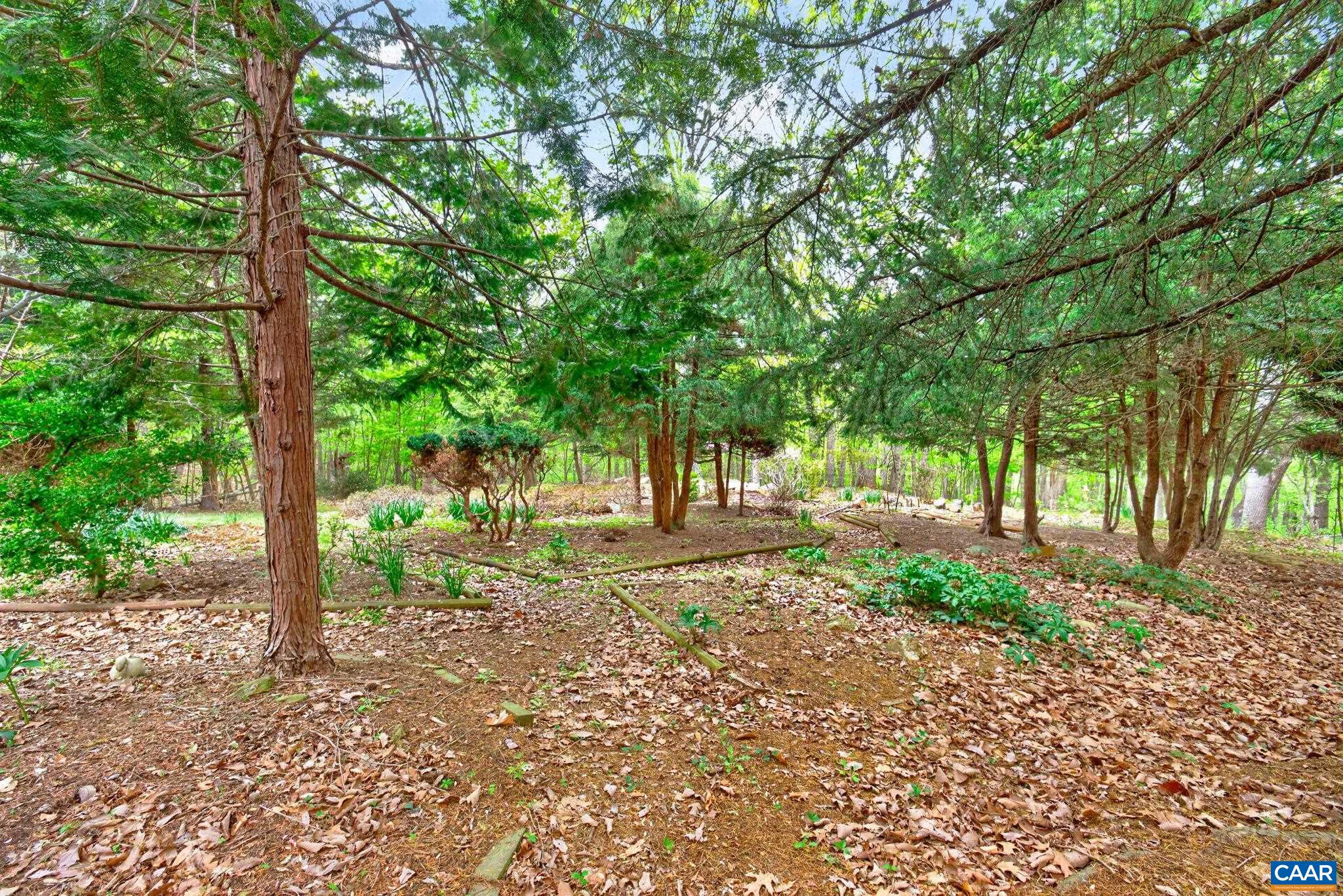 1670 Milton Road Charlottesville, VA 22902 - Photo 38 of 44 Gallery Image 38