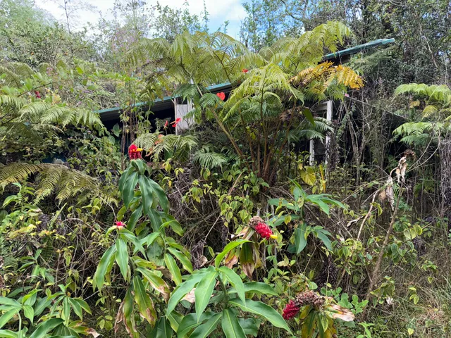 $65,000 | 11-3093 Lot 15 Ohia Avenue, Pahoa, HI 96778