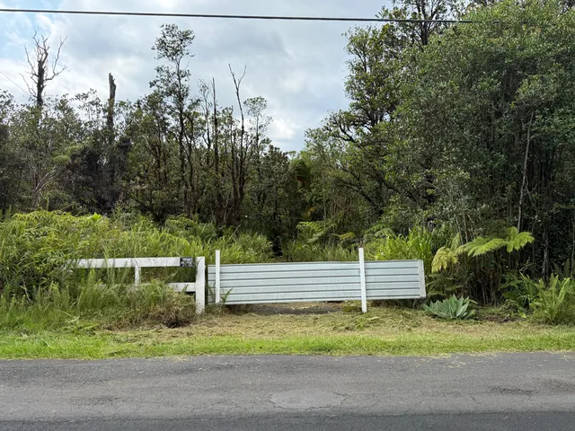 a view of a bench in a yard