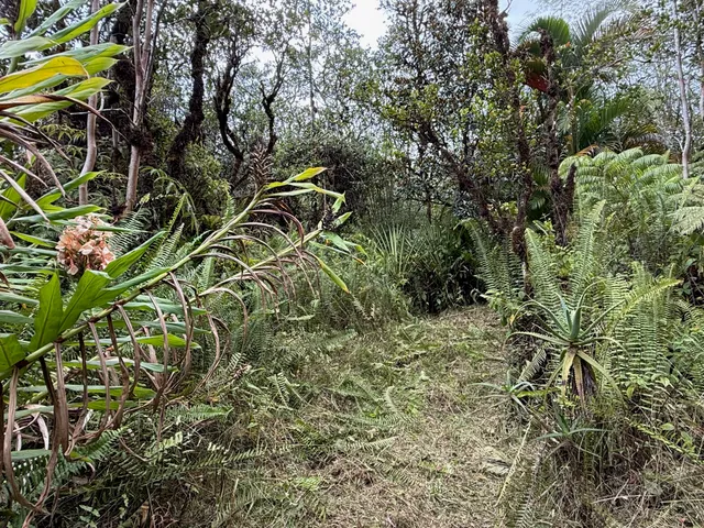 a living room filled with furniture