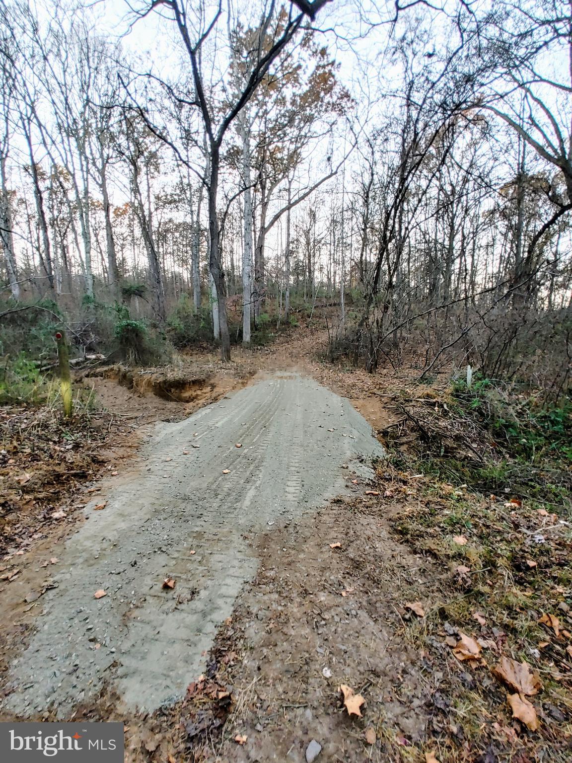 Will Lane Boston, VA 22713 - Photo 5 of 8