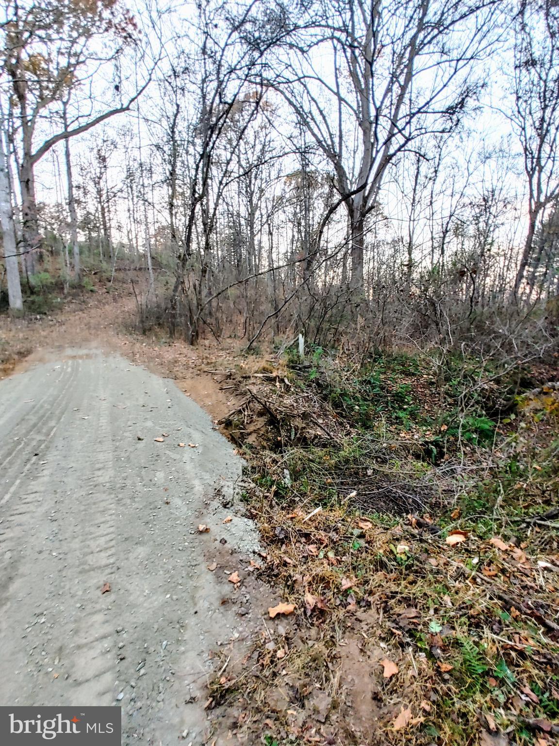 Will Lane Boston, VA 22713 - Photo 6 of 8