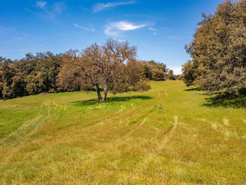 342 Mesa Grande Road Santa Ysabel, CA 92070 - Photo 21 of 42 a view of an ocean view