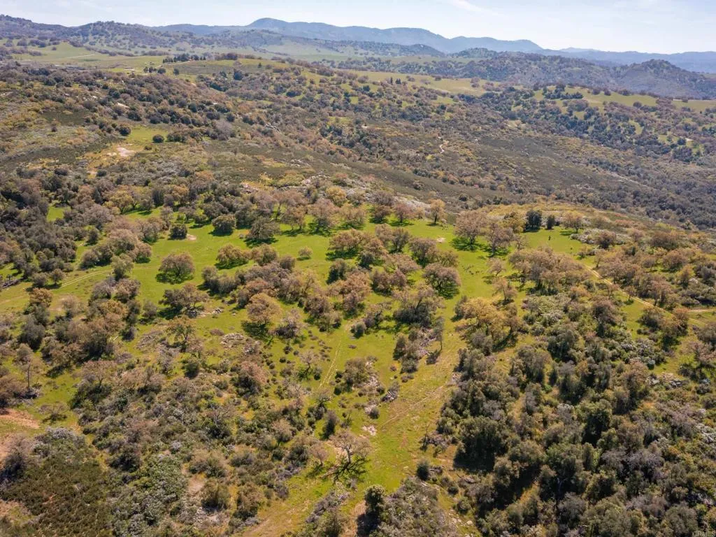 342 Mesa Grande Road Santa Ysabel, CA 92070 - Photo 23 of 42 a view of a dry field with mountains in the background