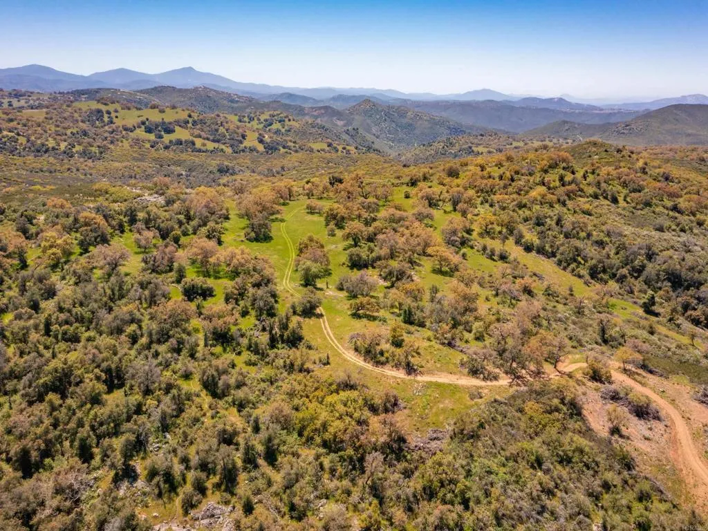 342 Mesa Grande Road Santa Ysabel, CA 92070 - Photo 29 of 42 a view of a lush green hillside and houses