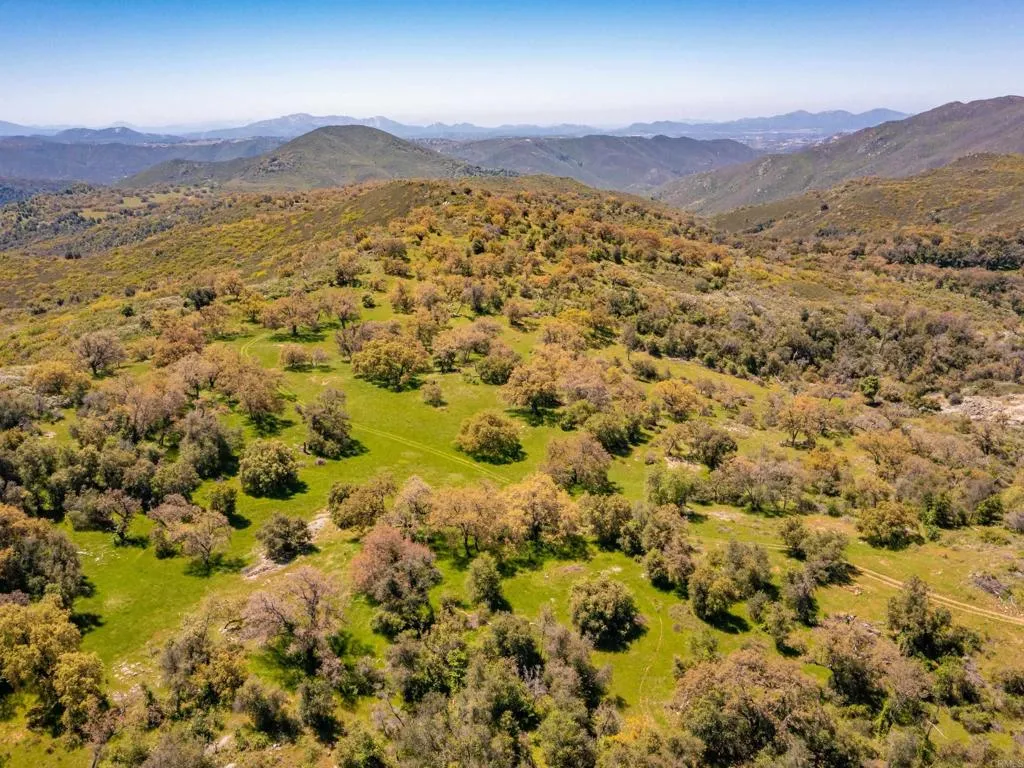 342 Mesa Grande Road Santa Ysabel, CA 92070 - Photo 31 of 42 a view of a field with mountains in the background