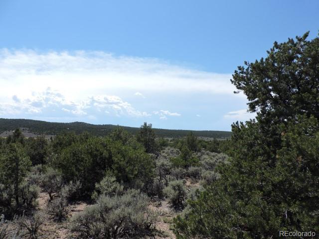 1316 Michaels Road San Luis, CO 81152 - Photo 11 of 15 Gallery Image 11