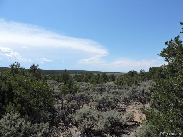 1316 Michaels Road San Luis, CO 81152 - Photo 12 of 15 Gallery Image 12