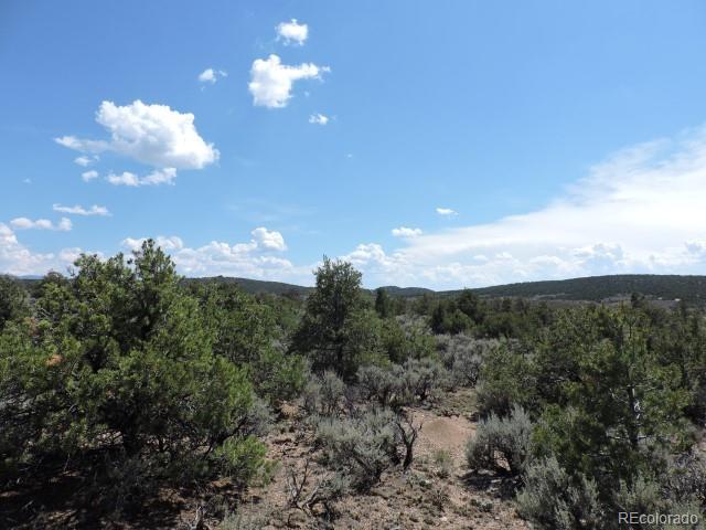 1316 Michaels Road San Luis, CO 81152 - Photo 13 of 15 Gallery Image 13