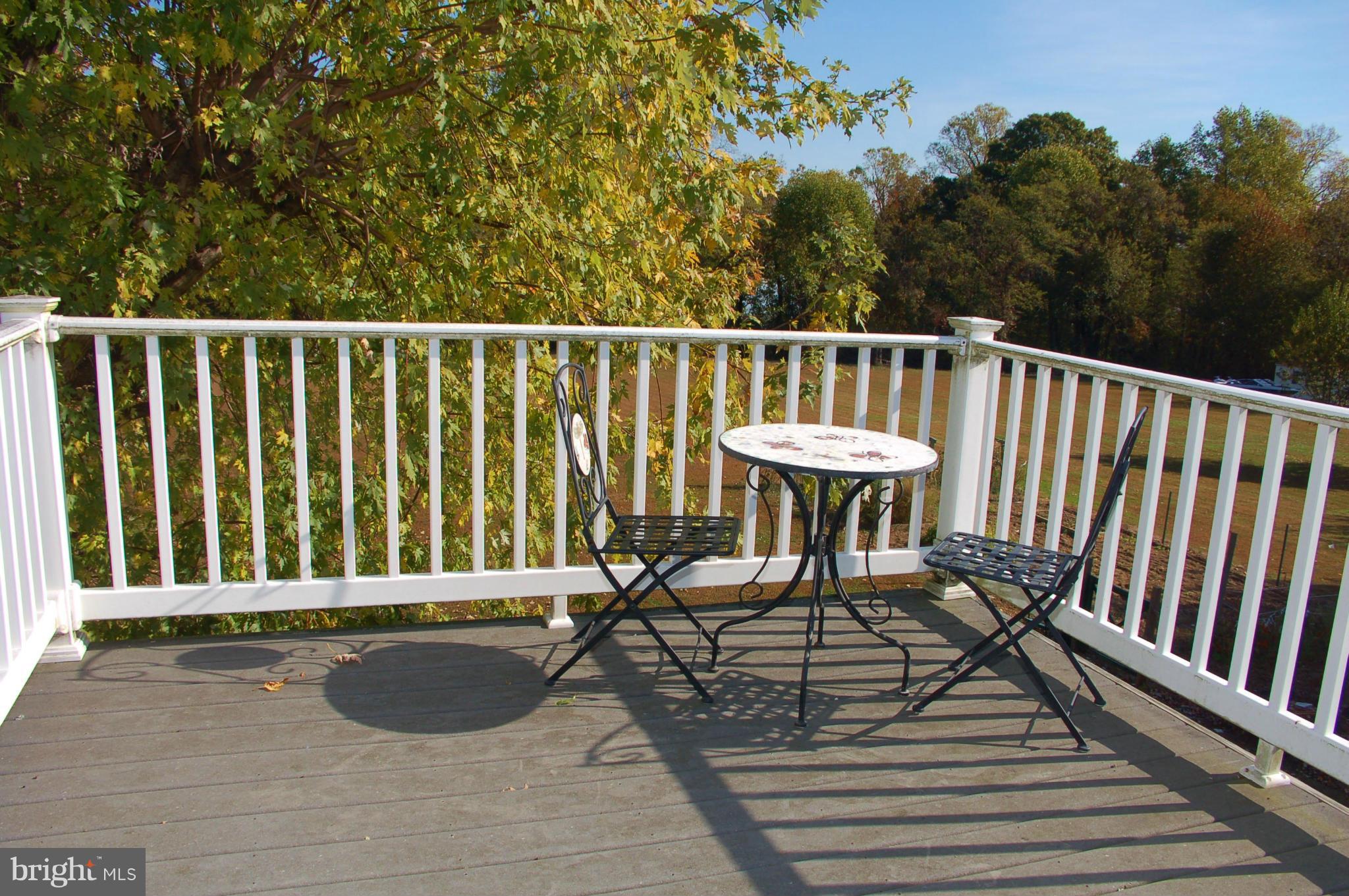 147 Plum Point Road Elkton, MD 21921 - Photo 14 of 26 Deck off Master bedroom