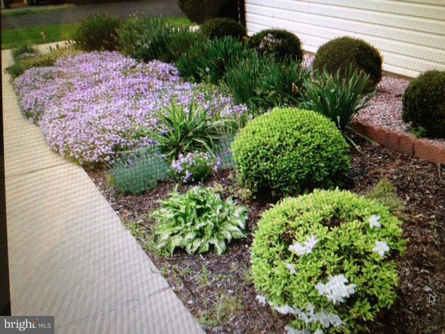 147 Plum Point Road Elkton, MD 21921 - Photo 23 of 26 landscaping