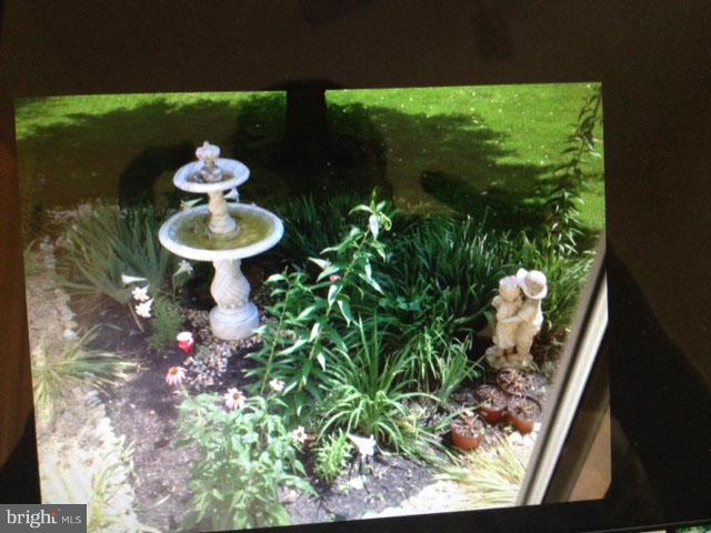 147 Plum Point Road Elkton, MD 21921 - Photo 25 of 26 view from breakfast area window