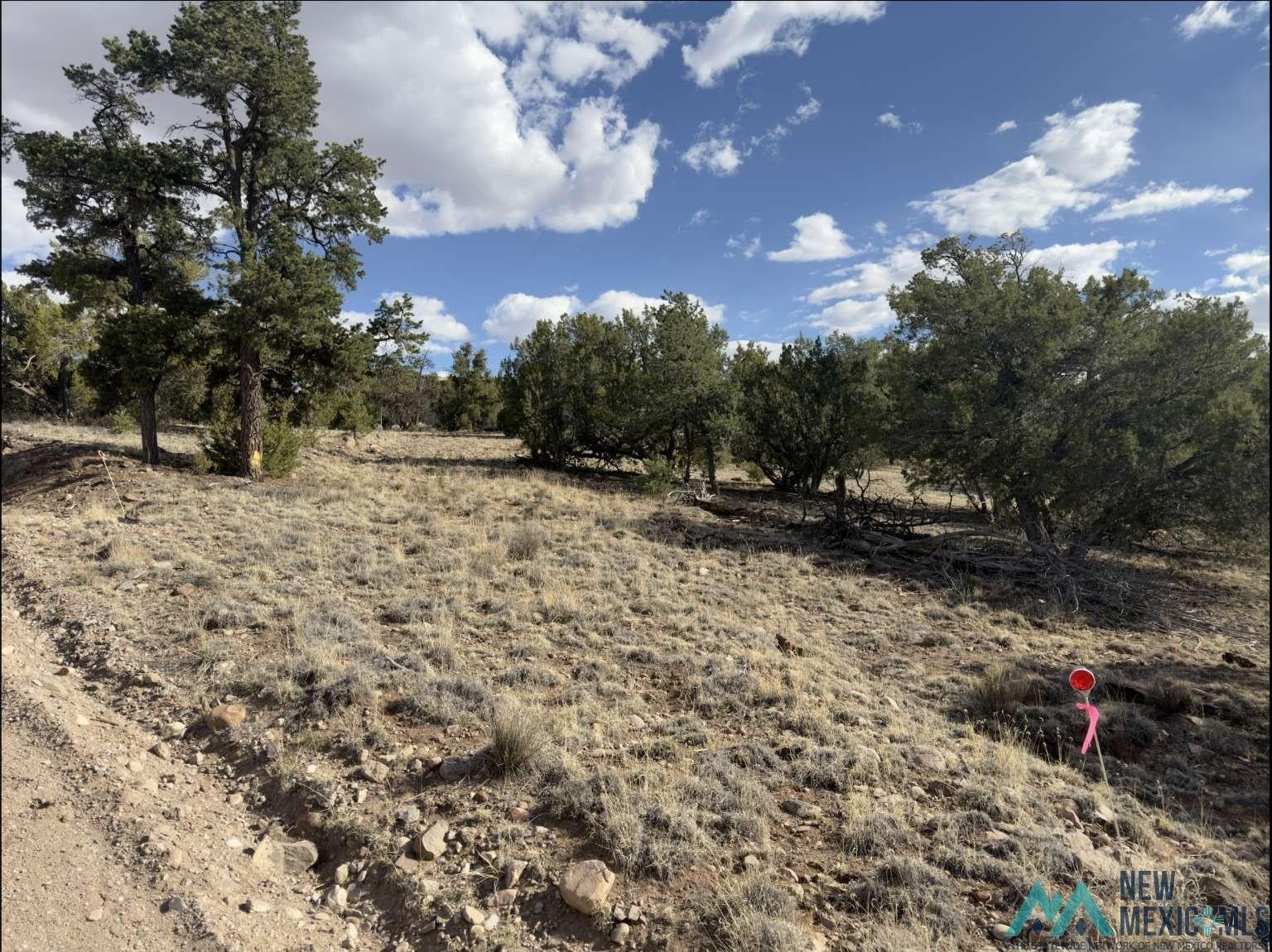 55 Crooked Arrow Datil, NM 87821 - Photo 7 of 12 Gallery Image 7