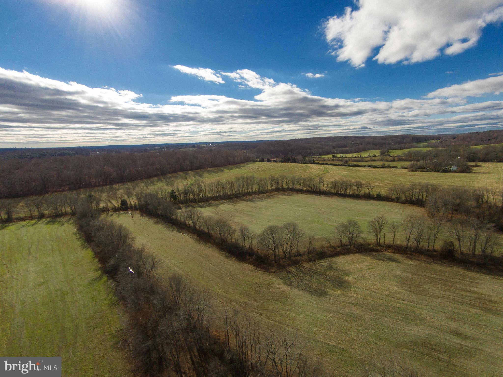 16408 Cedar Grove Road Sparks, MD 21152 - Photo 10 of 13 Gallery Image 10