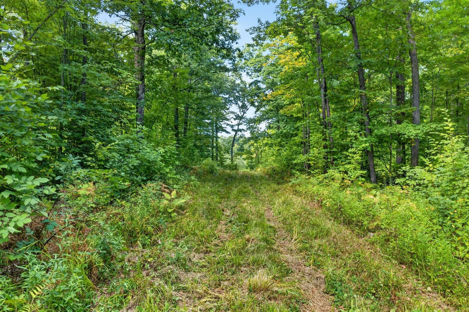 4 Comet Road Birchwood, WI 54817 - Photo 18 of 29 Gallery Image 18