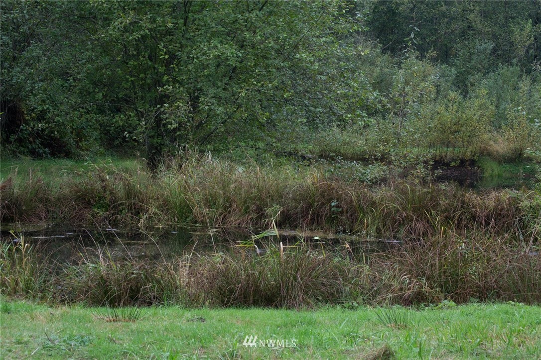 421-09 Mienars Road Morton, WA 98356 - Photo 23 of 33 Gallery Image 23