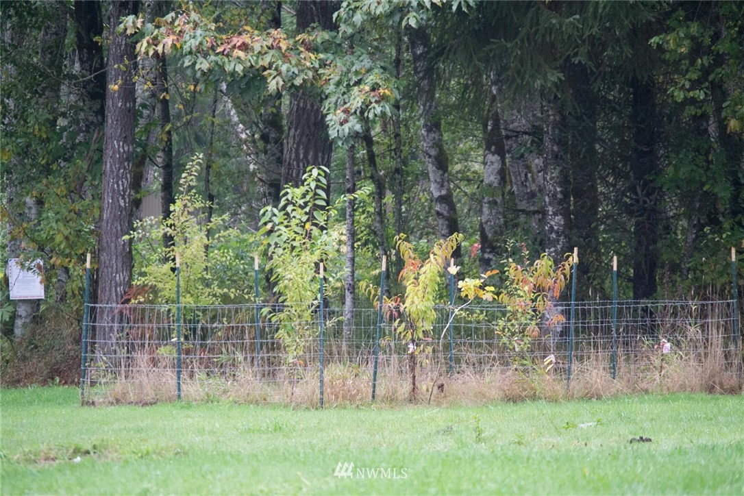 421-09 Mienars Road Morton, WA 98356 - Photo 24 of 33 Gallery Image 24