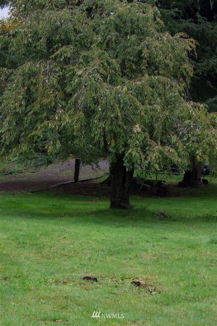 421-09 Mienars Road Morton, WA 98356 - Photo 25 of 33 Gallery Image 25