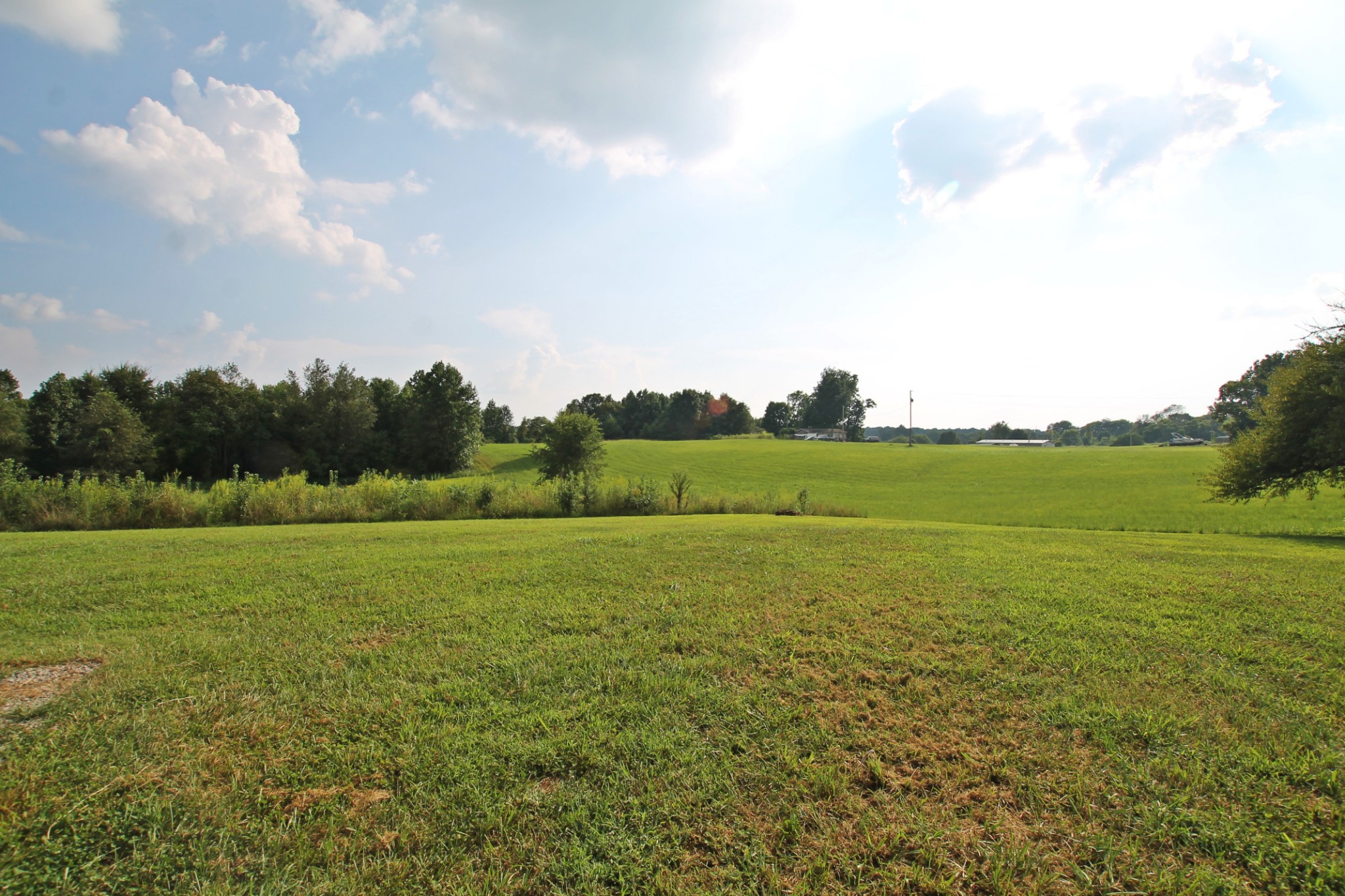 3914 Edd Ross Road Cedar Hill, TN 37032 - Photo 35 of 39 Gallery Image 35