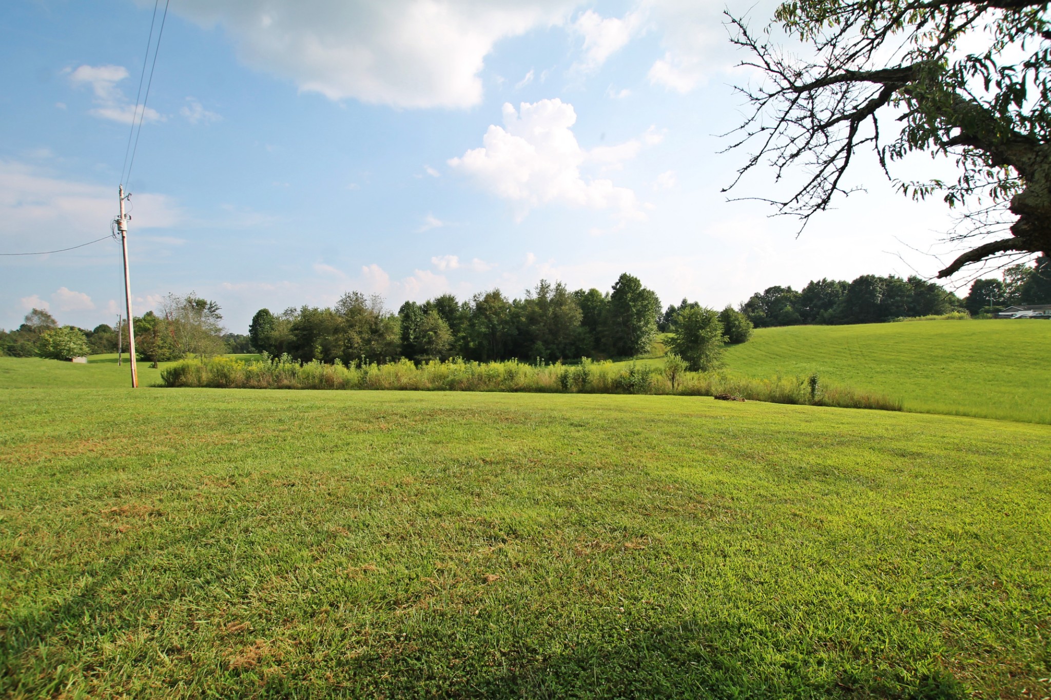 3914 Edd Ross Road Cedar Hill, TN 37032 - Photo 36 of 39 Gallery Image 36