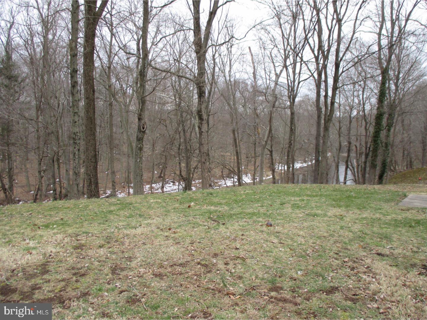 446 Wells Road Doylestown, PA 18901 - Photo 5 of 23 Back Yard