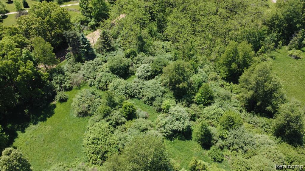 0 Wasson Road Gregory, MI 48137 - Photo 3 of 5
