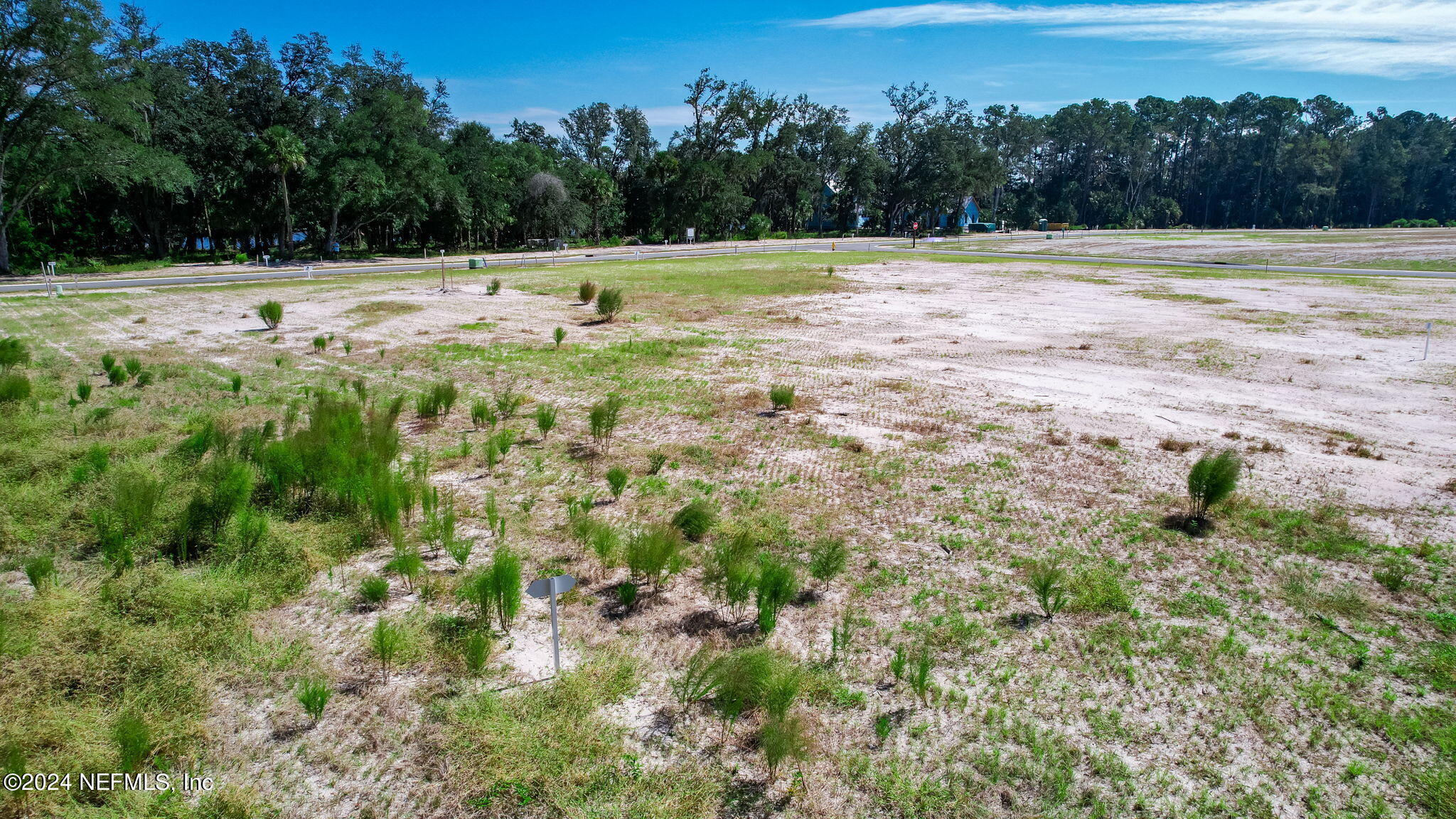 340 Shell Ridge Lane Ponte Vedra, FL 32081 - Photo 8 of 27 a view of a yard