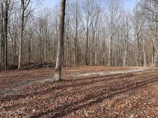 $25,000 | 212 Bear Hollow Road, Jamestown, TN 38556