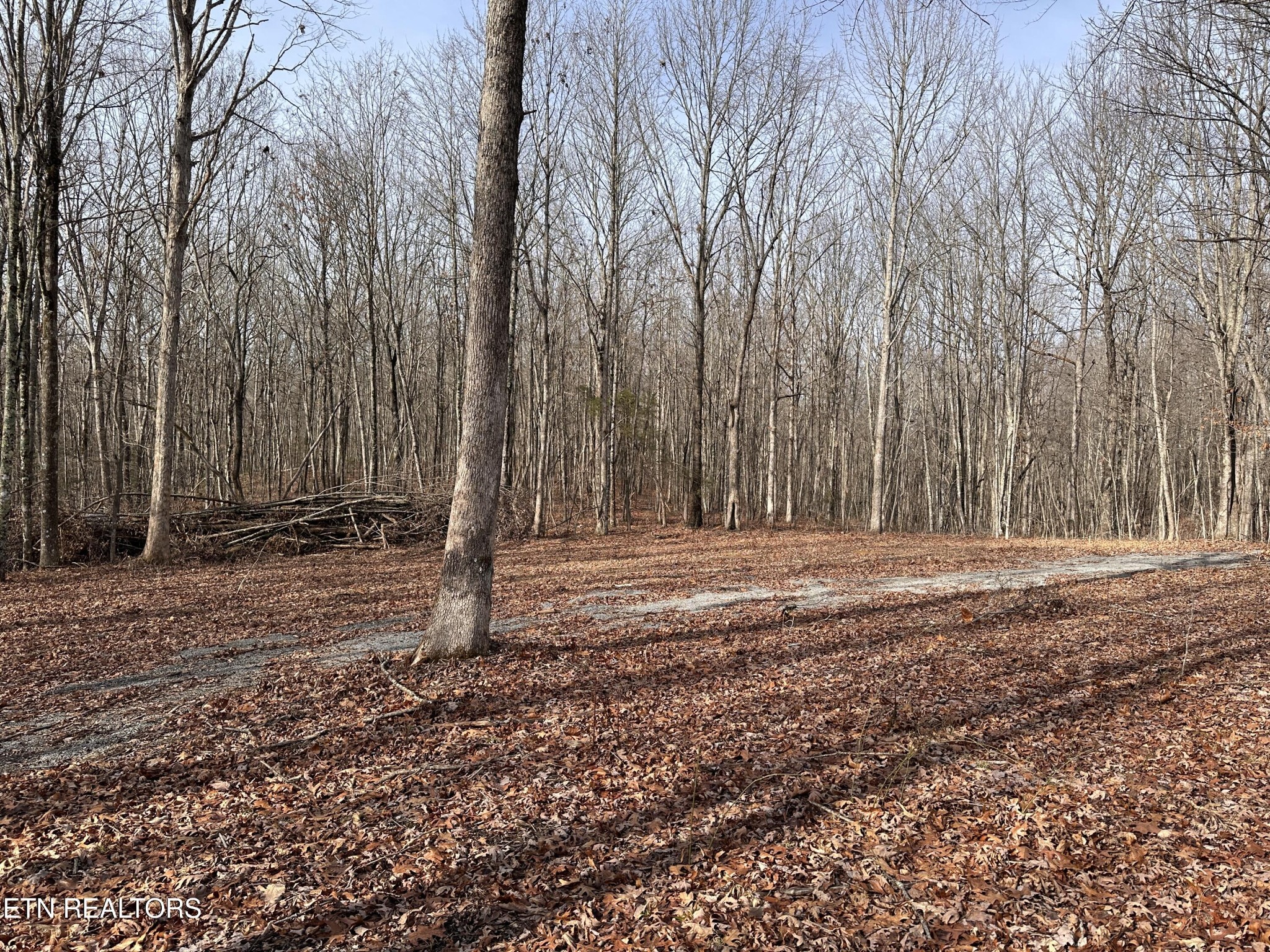 212 Bear Hollow Road Jamestown, TN 38556 - Photo 2 of 7