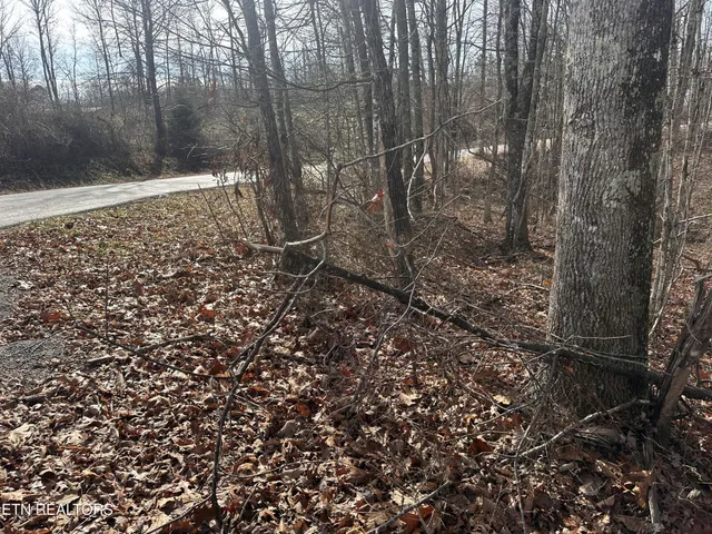 $25,000 | 212 Bear Hollow Road, Jamestown, TN 38556