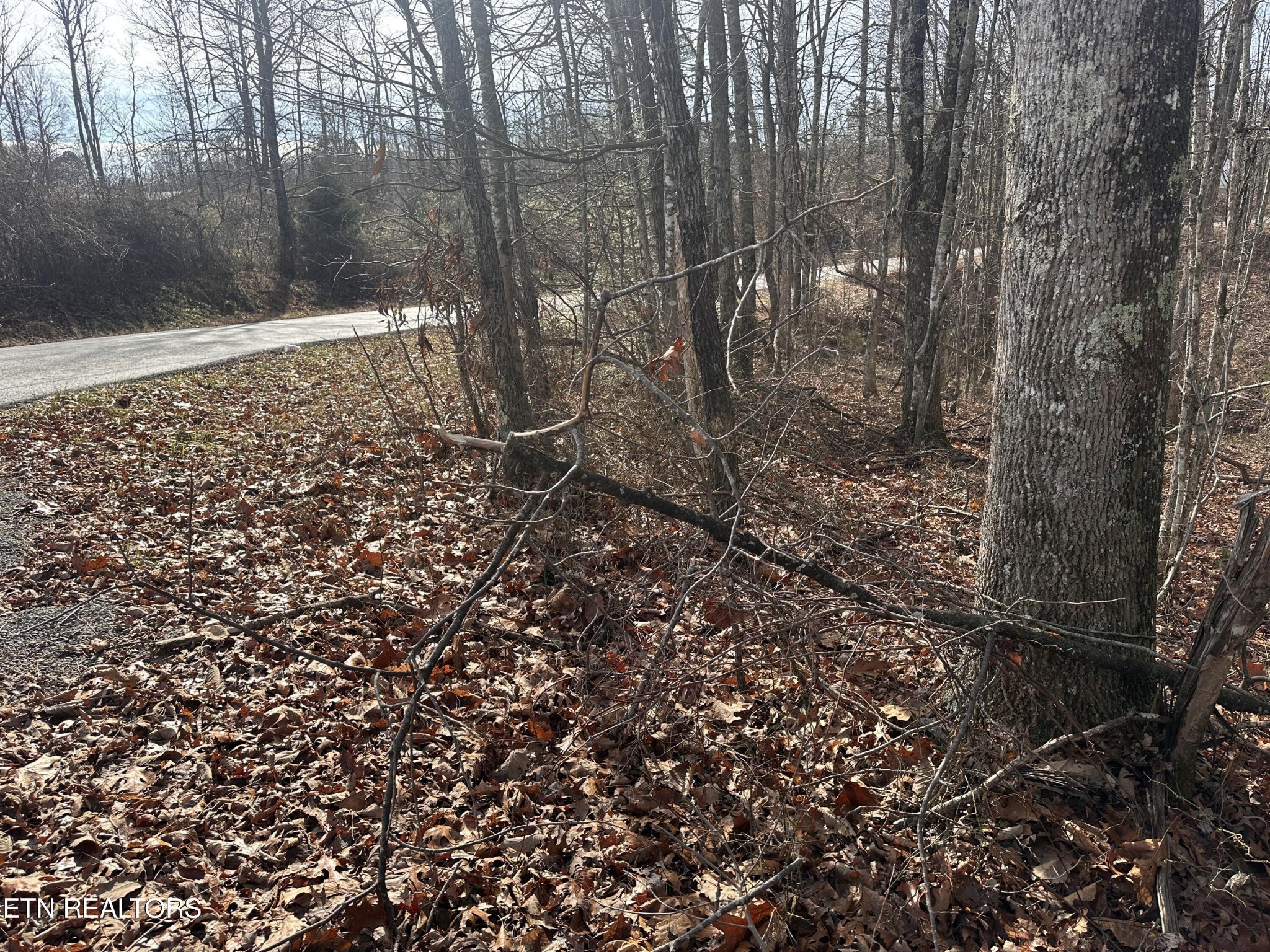 212 Bear Hollow Road Jamestown, TN 38556 - Photo 7 of 7