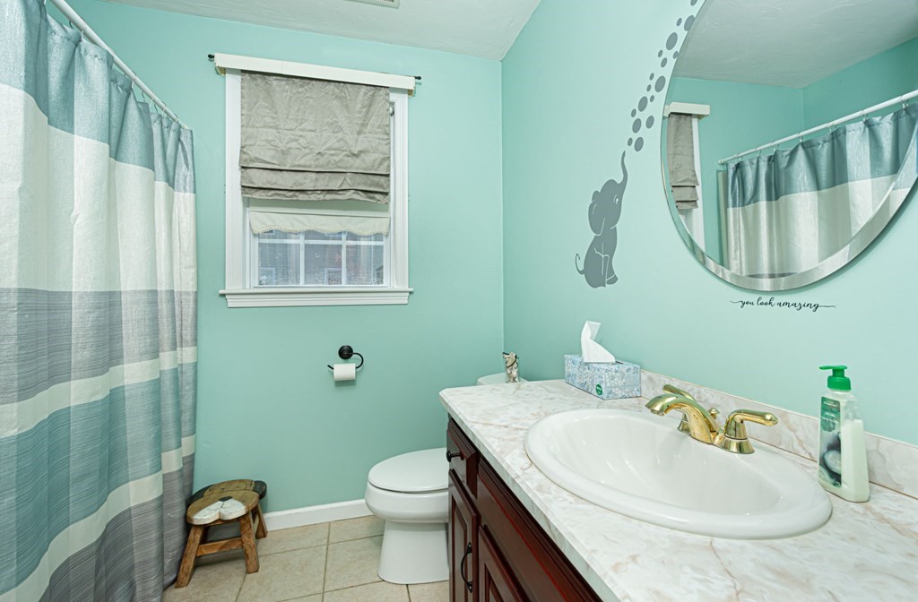 137 Osgood Road Charlton, MA 01507 - Photo 33 of 41 a bathroom with a sink a toilet and a mirror