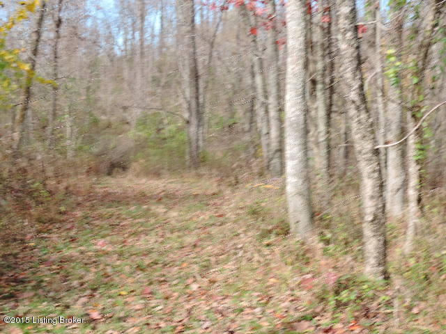 3098 Sulphur Road Sulphur, KY 40070 - Photo 11 of 48 3098 Sulphur Road 100