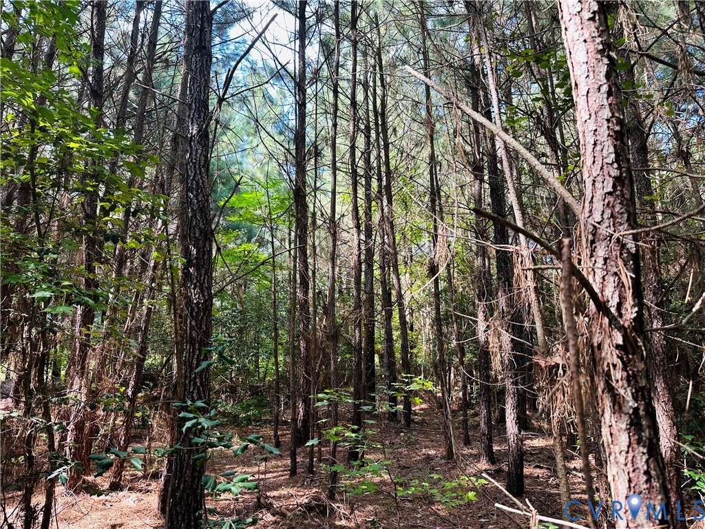 -parcel B Turnpike Road Bohannon, VA 23021 - Photo 3 of 18