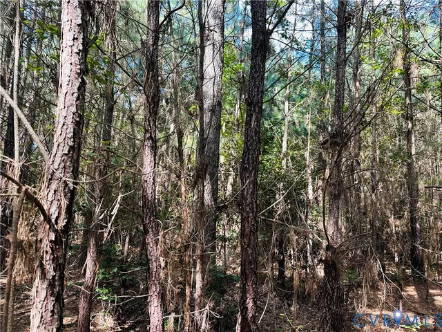 a view of outdoor space with trees