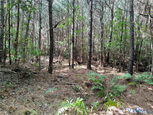 a view of outdoor space with lots of trees
