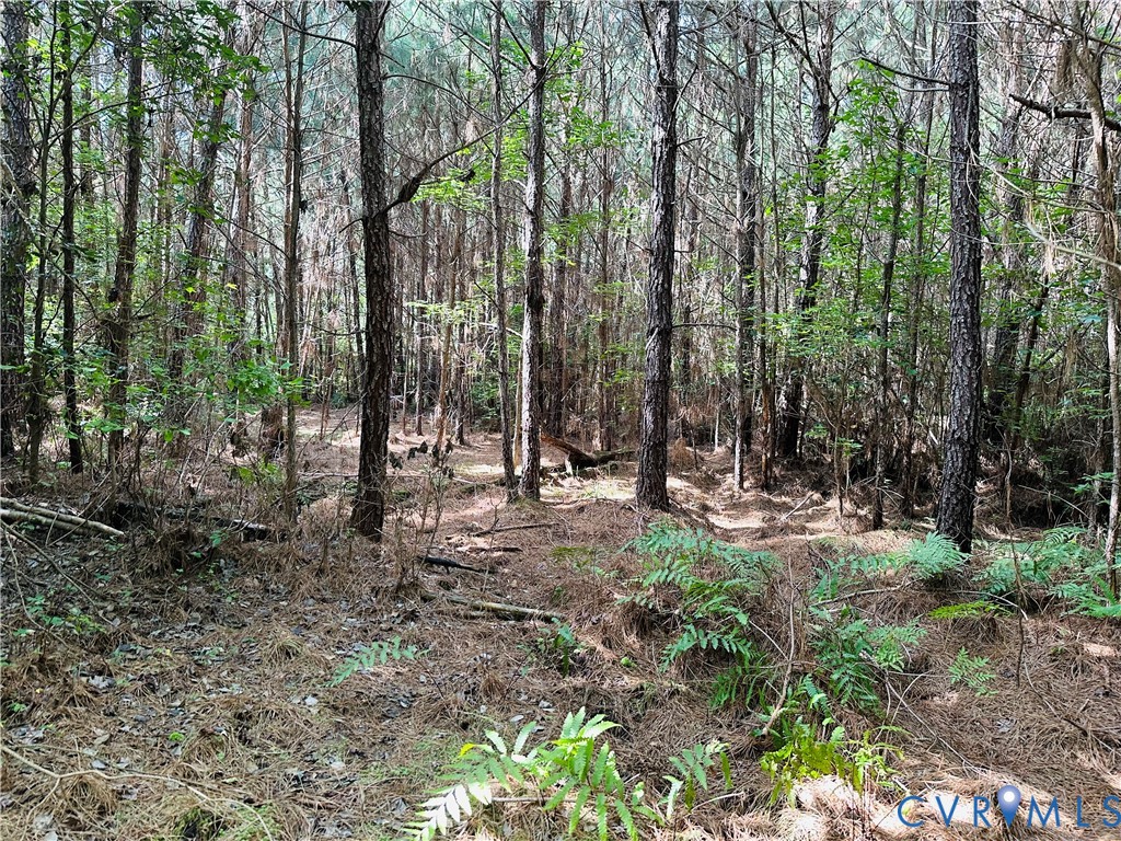 -parcel B Turnpike Road Bohannon, VA 23021 - Photo 6 of 18