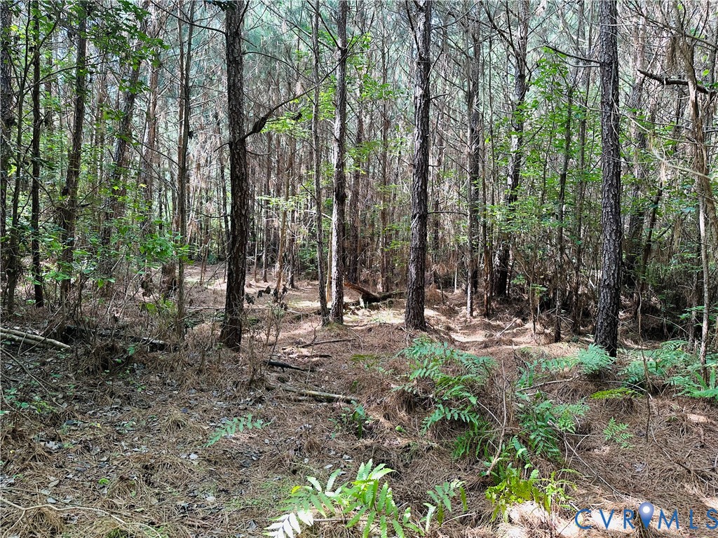 -parcel B Turnpike Road Bohannon, VA 23021 - Photo 7 of 18