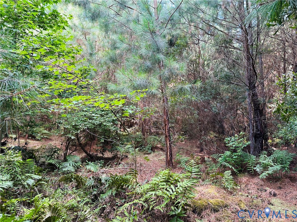 -parcel B Turnpike Road Bohannon, VA 23021 - Photo 10 of 18