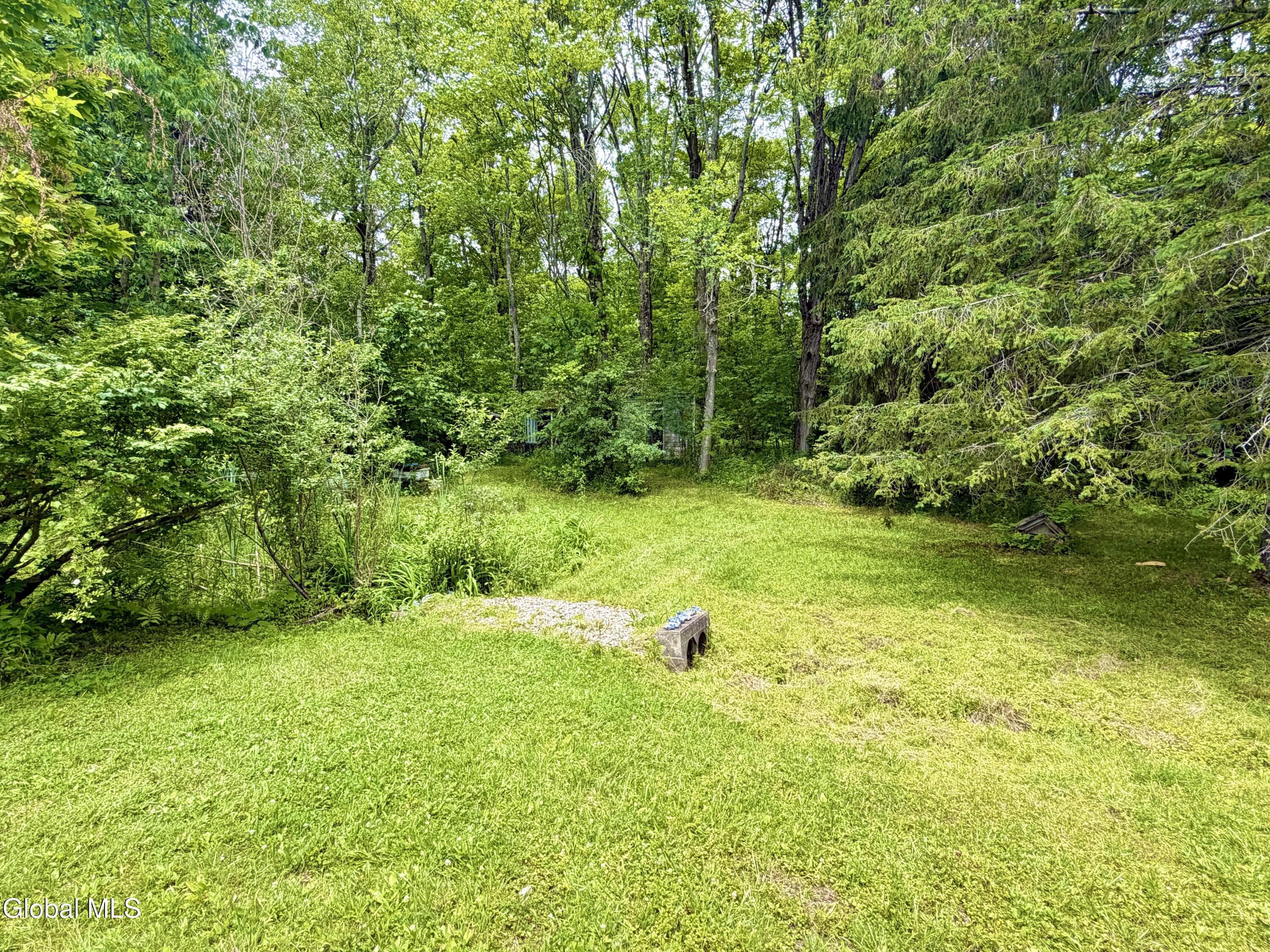 166 Potter Road Glenville, NY 12010 - Photo 34 of 38 Potter Back 1