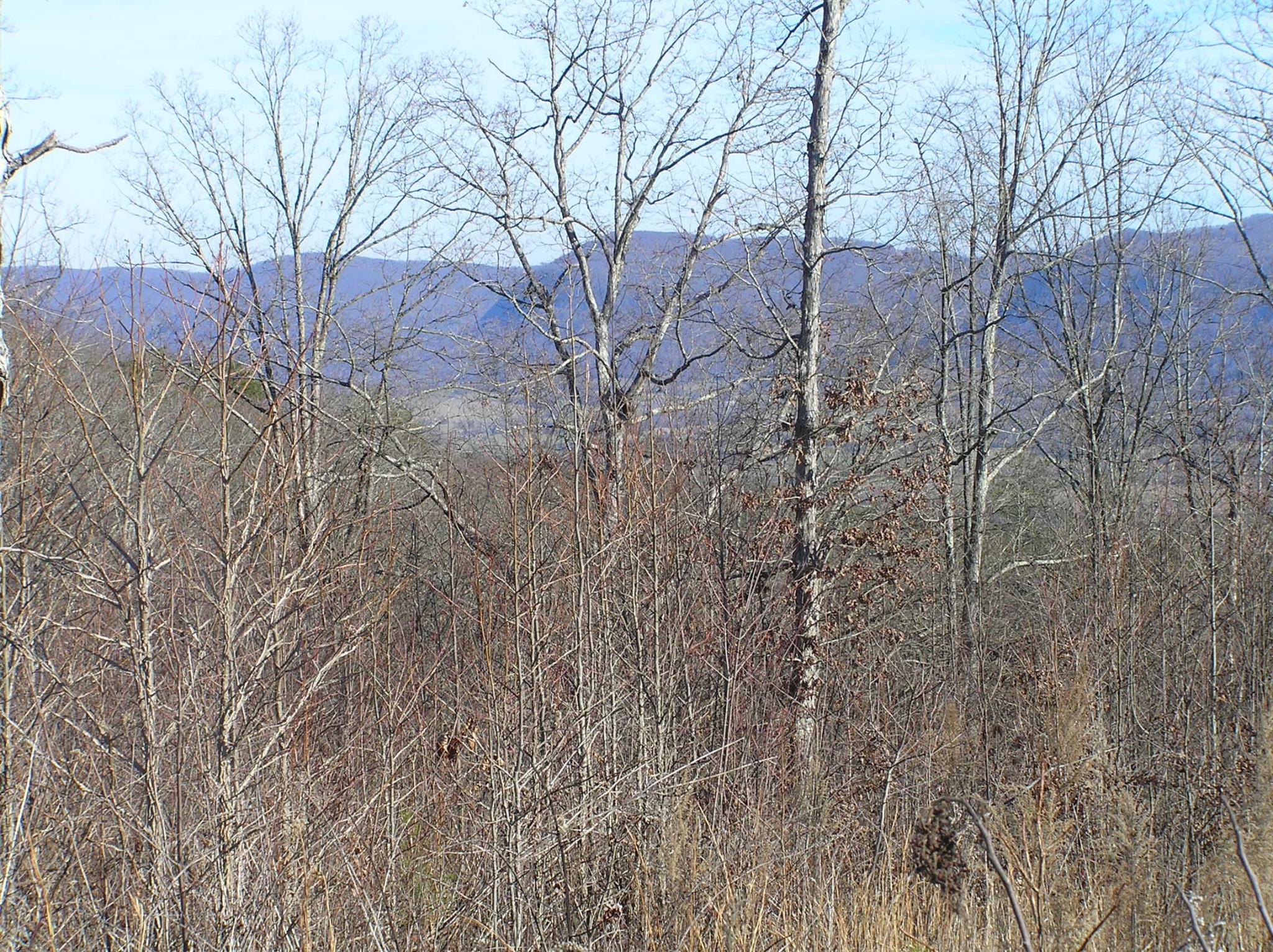 0 Big Spring Gap Road Crossville, TN 38572 - Photo 33 of 48 Gallery Image 33