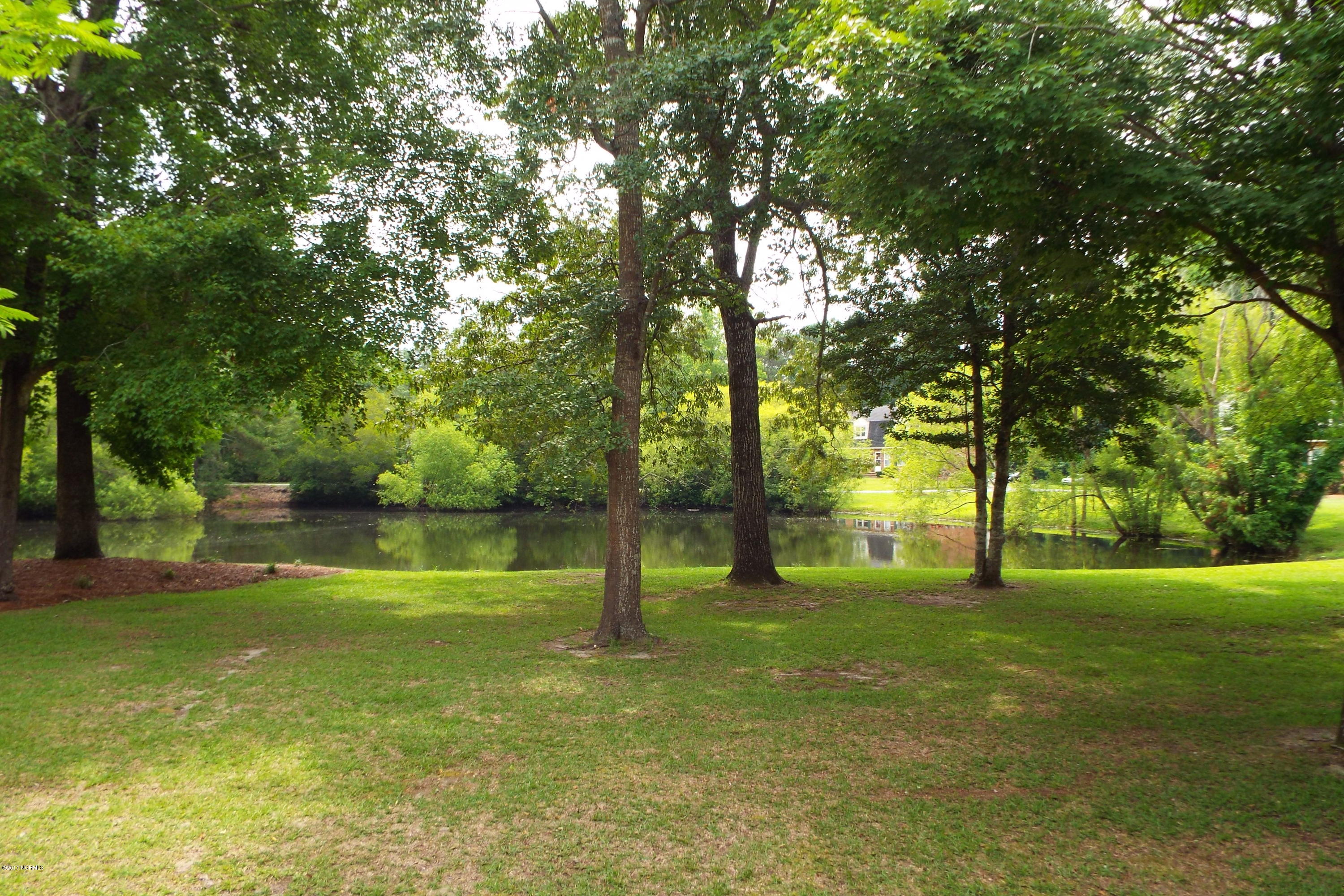 6000 River Road, Unit 16 Washington, NC 27889 - Photo 2 of 19 02 View from your front door